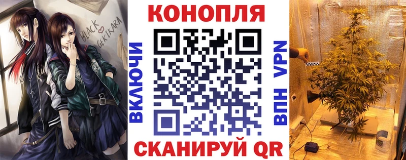 Бошки Шишки Amnesia Заречный